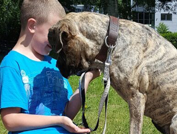 De Topdog HondenSOVAtraining is bedoeld voor kinderen, jongeren en jongvolwassenen